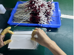 China Shenzhen Zhanhui Photoelectric Technology Co., Ltd. company profile 20