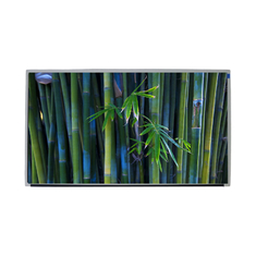 Tela TFT 1000nits Display LCD de Alto Brilho 15,6 Polegadas Com Interface EDP