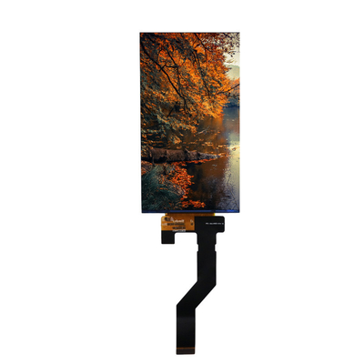 kupować OEM 5,98 cali HD LCD TFT Display Module 1440x2560 MiPi Interface Display produkcja online