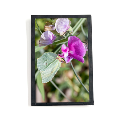 comprar Ecrã LCD TFT HD de 7 polegadas Resolução 1200x1920 Com 2000 nits de brilho Fabricação em linha
