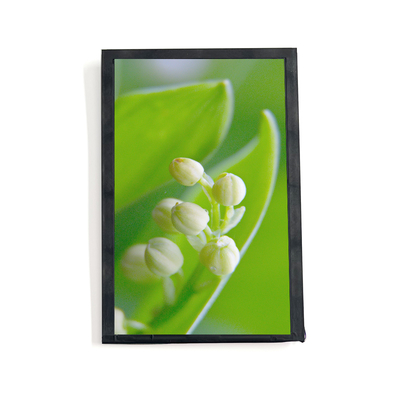 kaufen 7 Zoll hohe Helligkeit LCD-Display 2000nits 40 Pin MIPI-Schnittstelle IPS TFT-LCD-Modul Online-Herstellung