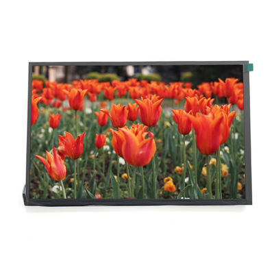 kopen 1920x1200 HD TFT LCD Display 10,1 inch IPS-paneel met LVDS-interface online vervaardiging
