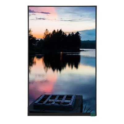 Buy 10.1 Inch TFT LCD Screen Display 800x1280 Resolution With MIPI Optional Touch online manufacture