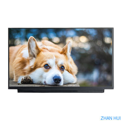 kupować 13.3 cali Panel wyświetlania LCD 1920x1080 IPS TFT LCD Screen z opcjonalnym ekranem dotykowym produkcja online