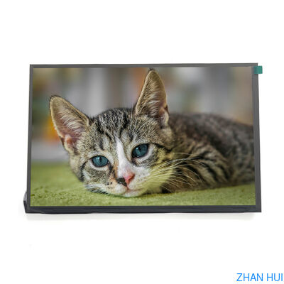 buy Custom 10.1 Inch Wide Temperature LCD 1920x1200 IPS 500 Nits LCD Screen LVDS Interface online manufacture