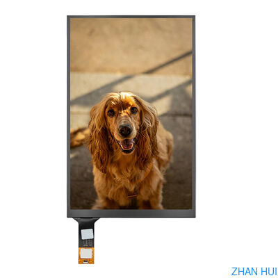 comprar Temperatura ancha de la exhibición IPS 800x1280 250nits mipi del interfaz HD tft lcd de la exhibición táctil PCAP de 10,1 pulgadas Fabricación en línea