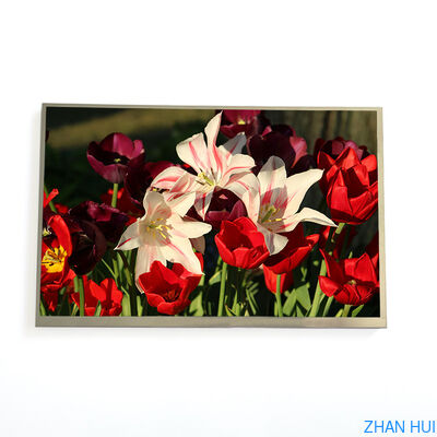 Mua 10,1 inch 1000nits Độ sáng cao 1280x800 Giao diện LVDS IPS Nhiệt độ rộng HD TFT LCD Hiển thị Màn hình cảm ứng tùy chỉnh sản xuất trực tuyến