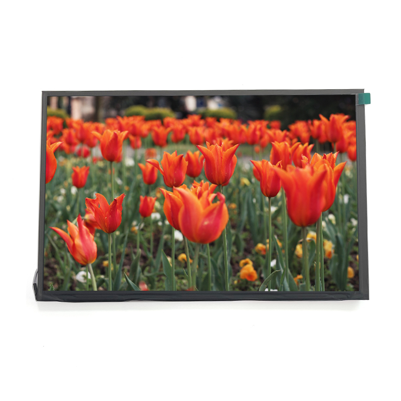 10 Inch Led Display 1920x1200 HD TFT LCD Display 10.1 Inch IPS Panel With LVDS Interface