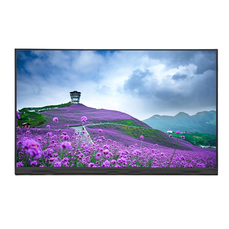 2K Resolution 11.6 Inch IPS HD TFT LCD Display 1920x1080 With EDP Interface